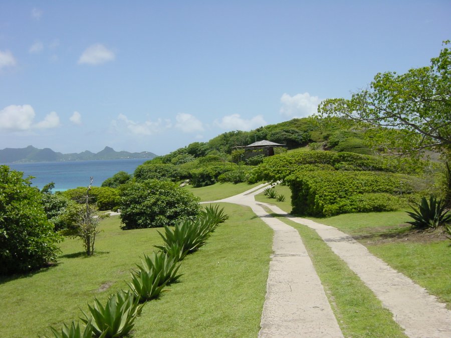 Растительность Сент-Винсент и Гренадины